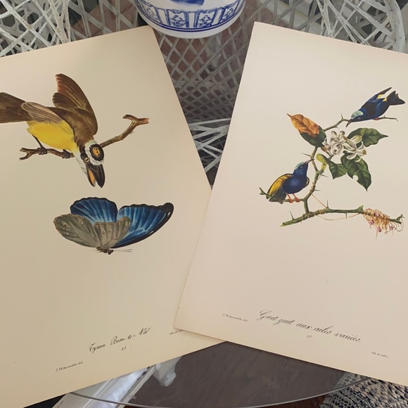 Vintage Other - •⬇️PAIR VINTAGE AUDUBON ILLUSTRATIVE BIRD PRINTS BOTANICALS•⬇️SHOP IS CLOSING⬇️